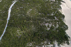 Beachfront Resort Lot On San Salvador, The Bahamas